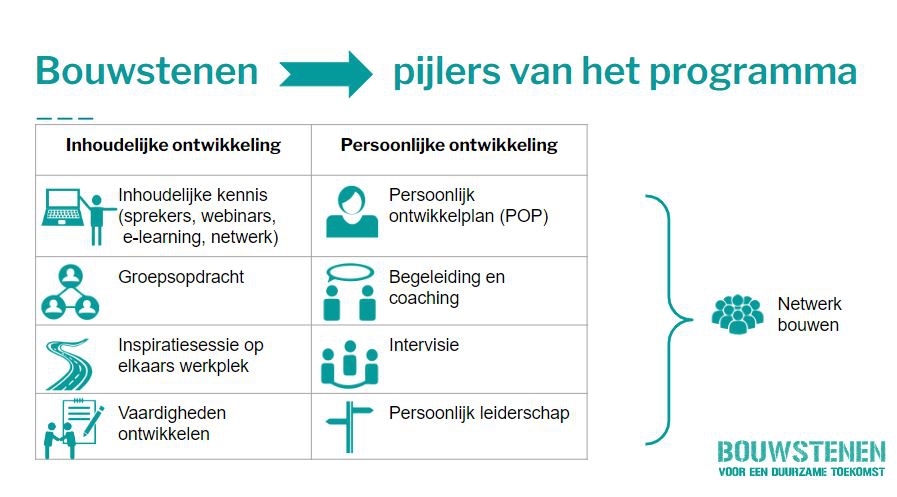 Bouwstenen pijlers programma